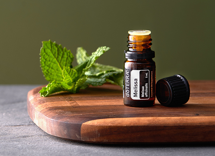 Doterra World Trust Media Network ChiChat Reflection Retail