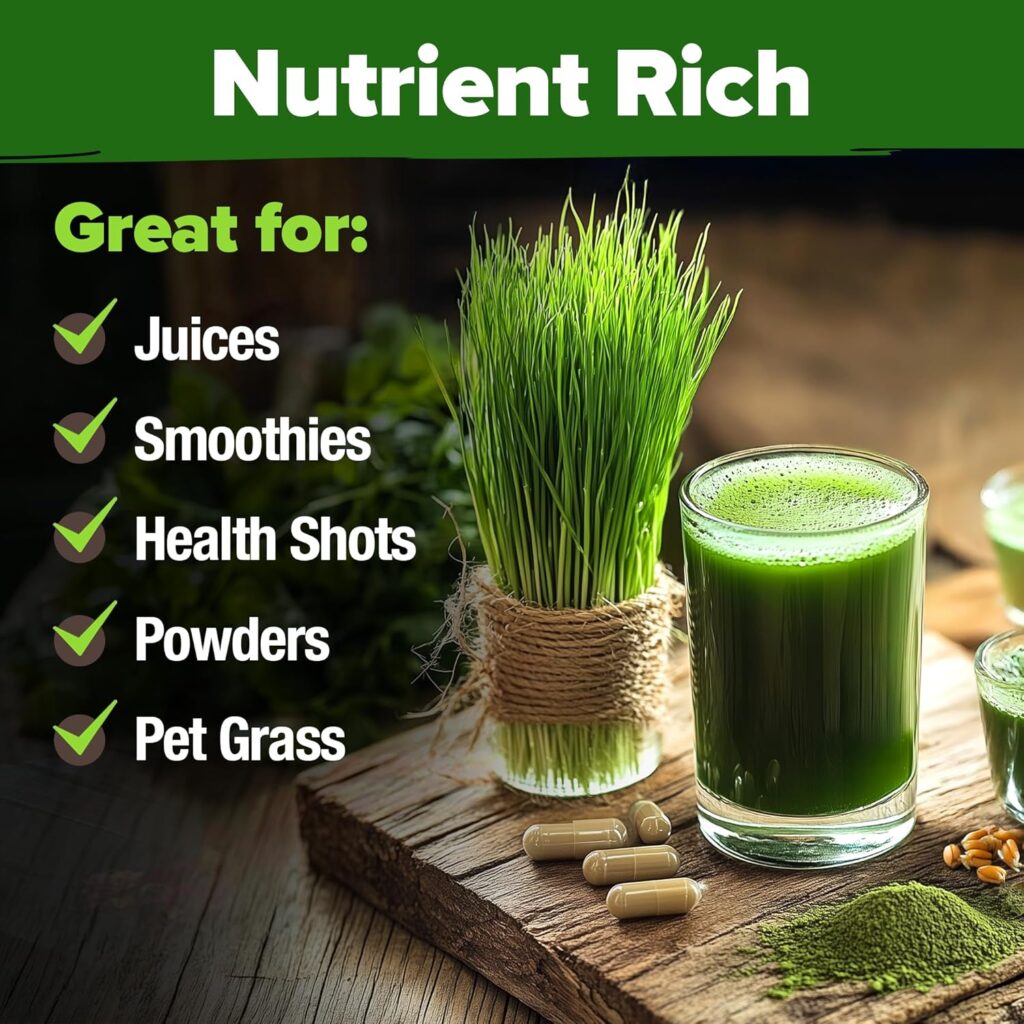 Harvest Wheatgrass