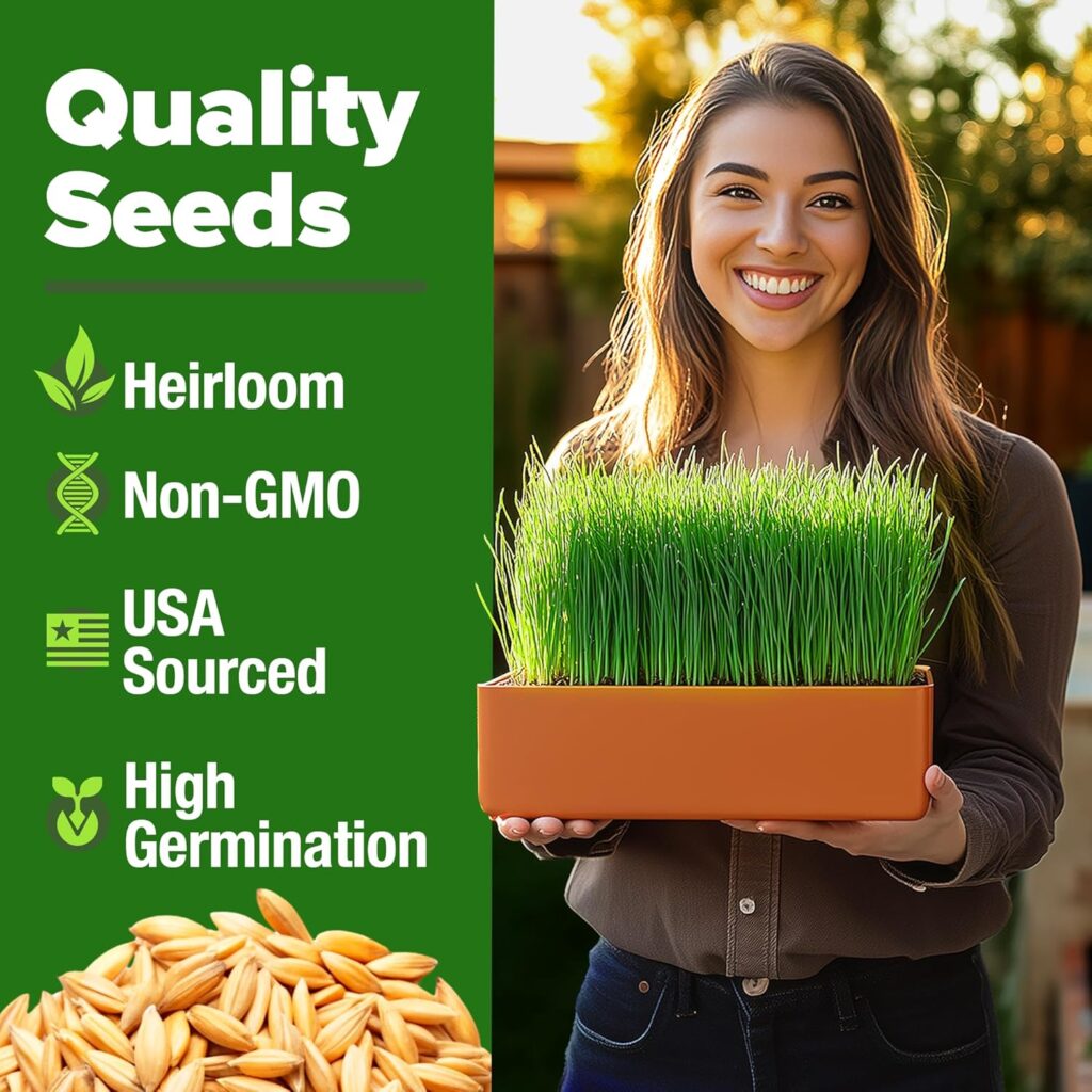 Harvest Wheatgrass