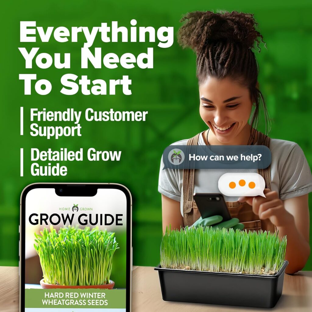Harvest Wheatgrass