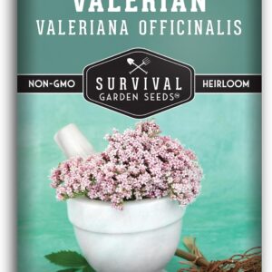 Valerian