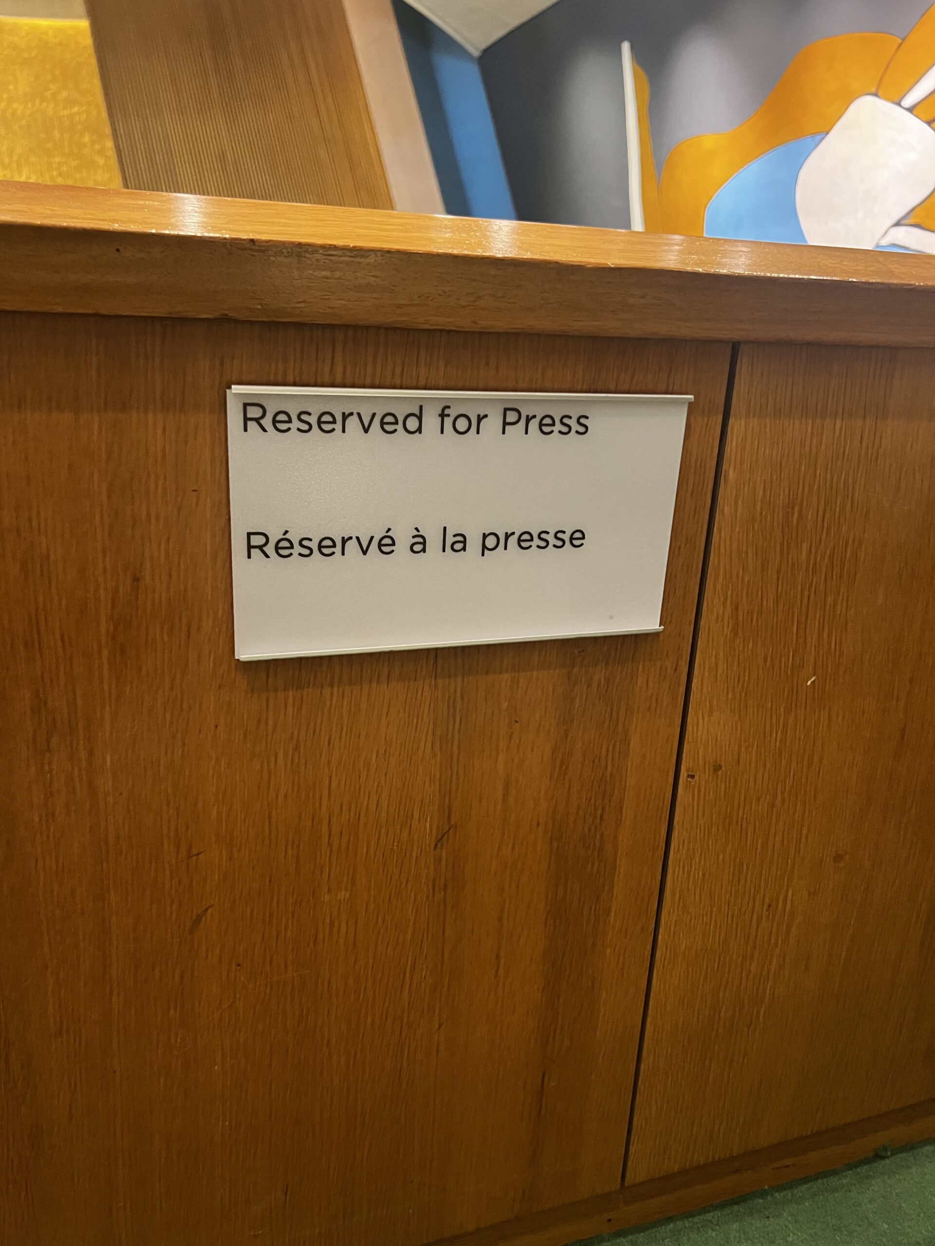 NYC United Nations Headquarters Reserved for Press CEO Shellie Robinson of World Trust Media Network