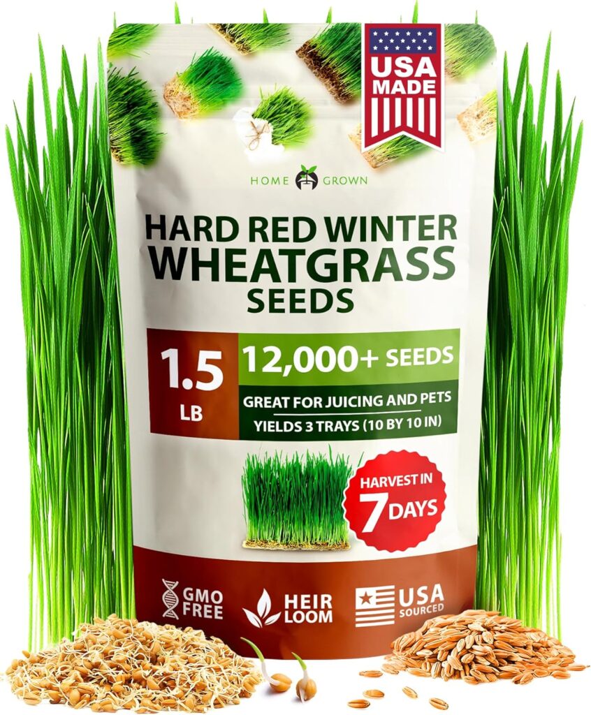 Harvest Wheatgrass