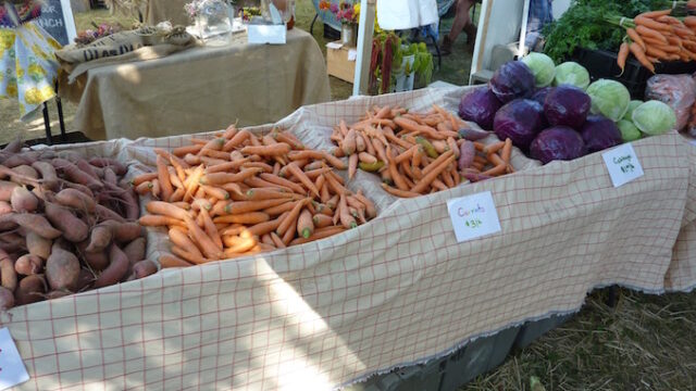 Common Ground Fair Unity Maine USA