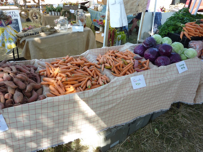 Common Ground Fair Unity Maine USA